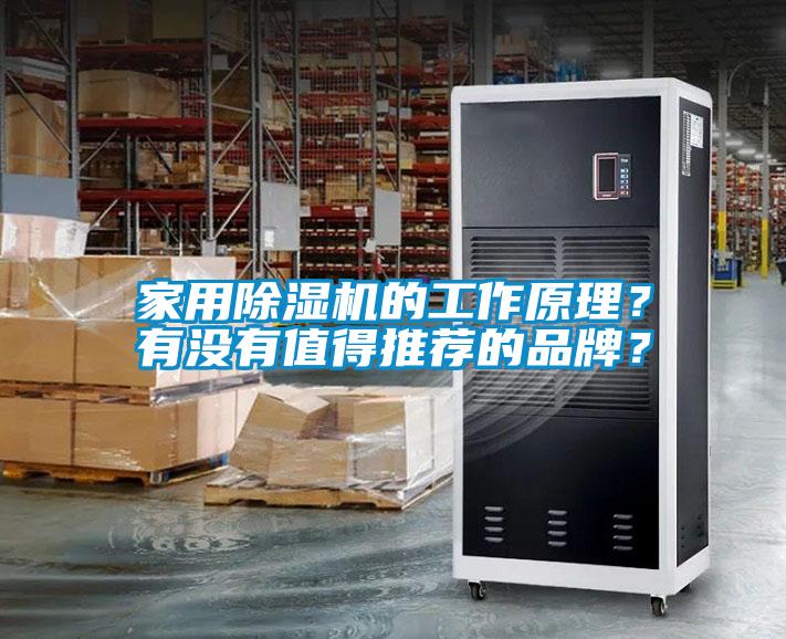 家用除濕機的工作原理？有沒有值得推薦的品牌？