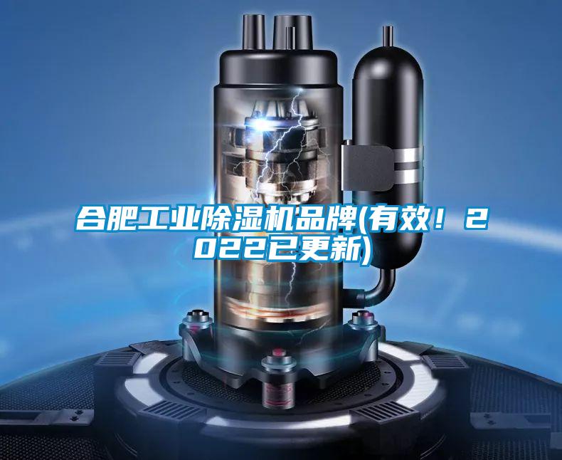 合肥工業(yè)除濕機(jī)品牌(有效！2022已更新)