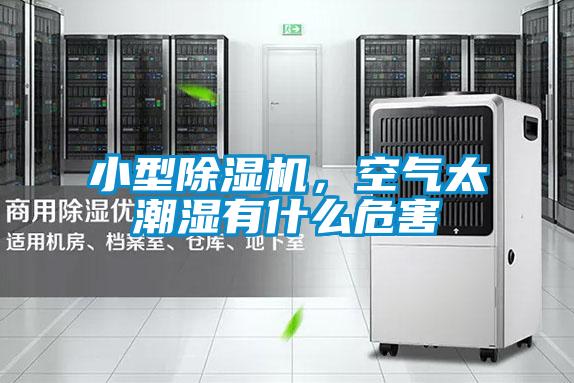 小型除濕機(jī)，空氣太潮濕有什么危害