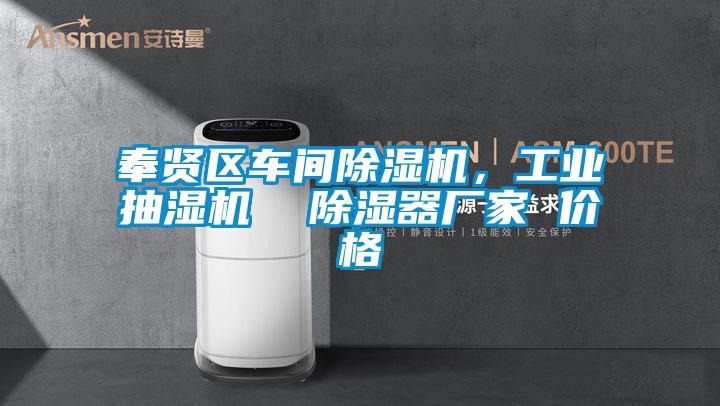 奉賢區(qū)車間除濕機(jī)，工業(yè)抽濕機(jī)  除濕器廠家 價格