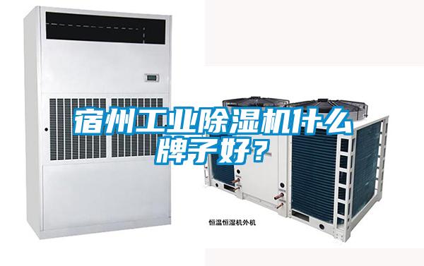 宿州工業(yè)除濕機(jī)什么牌子好？