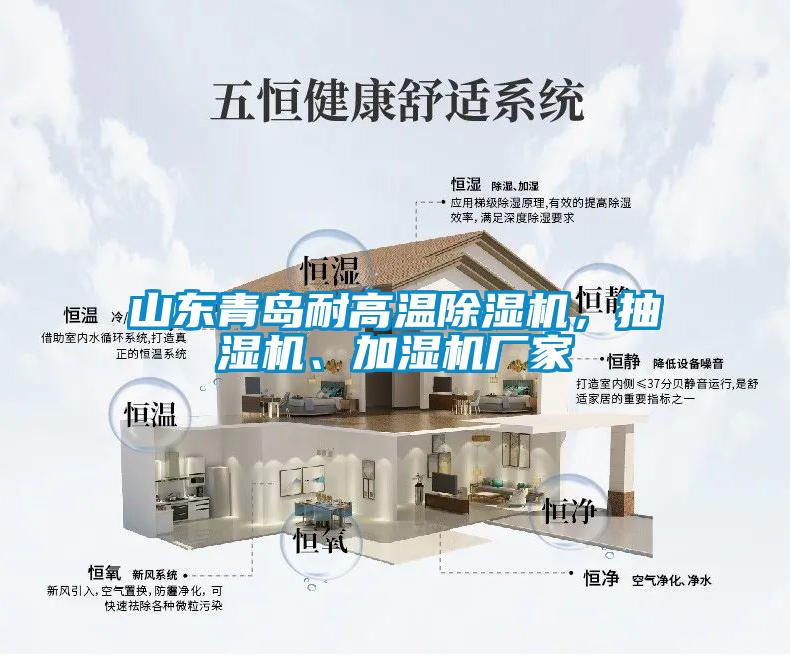 山東青島耐高溫除濕機(jī)，抽濕機(jī)、加濕機(jī)廠家