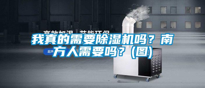 我真的需要除濕機嗎？南方人需要嗎？(圖)
