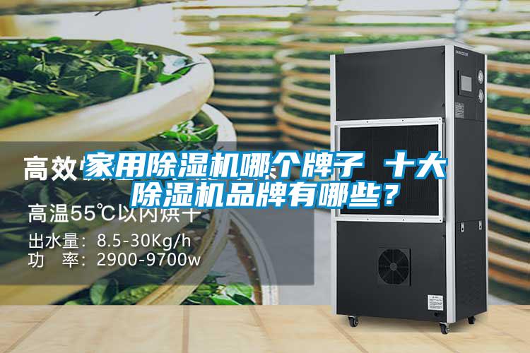 家用除濕機(jī)哪個(gè)牌子 十大除濕機(jī)品牌有哪些？