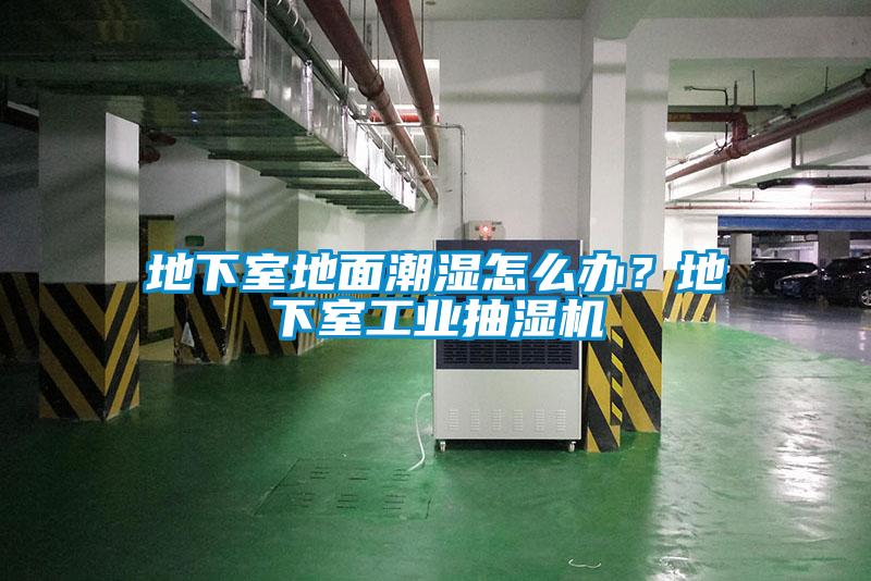 地下室地面潮濕怎么辦？地下室工業(yè)抽濕機(jī)