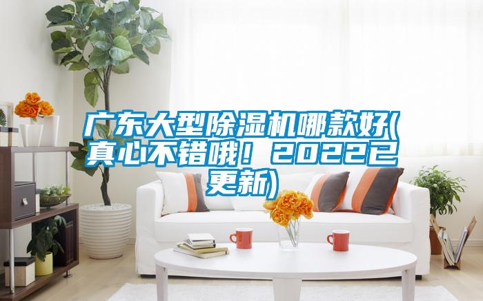 廣東大型除濕機哪款好(真心不錯哦！2022已更新)