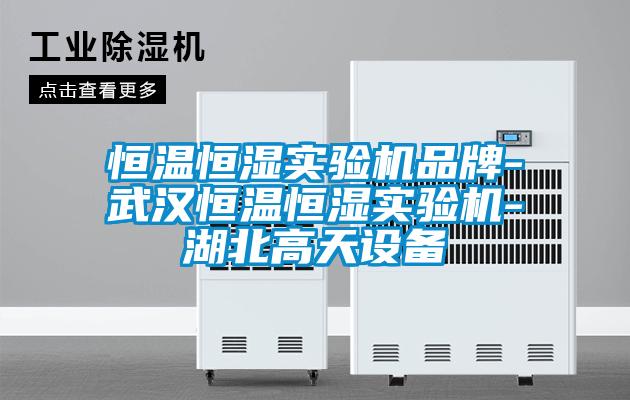 恒溫恒濕實驗機品牌-武漢恒溫恒濕實驗機-湖北高天設(shè)備