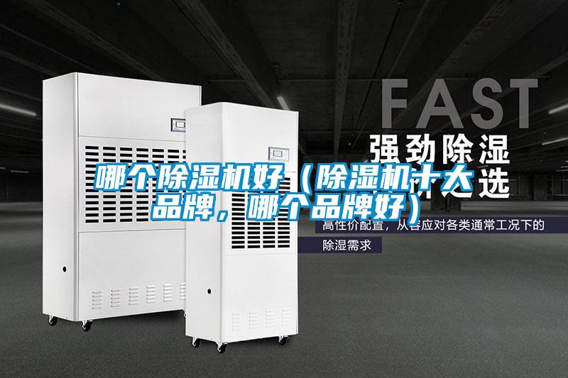哪個(gè)除濕機(jī)好（除濕機(jī)十大品牌，哪個(gè)品牌好）