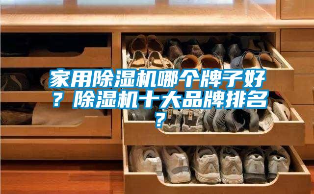 家用除濕機哪個牌子好？除濕機十大品牌排名？