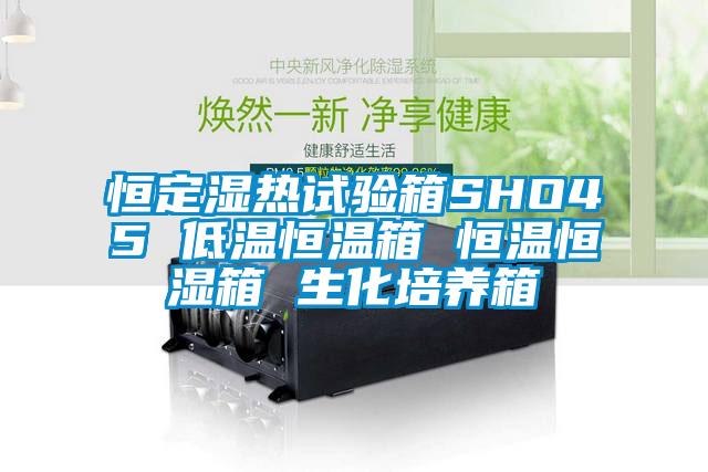 恒定濕熱試驗(yàn)箱SHO45 低溫恒溫箱 恒溫恒濕箱 生化培養(yǎng)箱