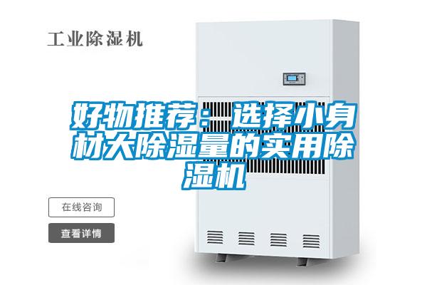 好物推薦：選擇小身材大除濕量的實用除濕機(jī)