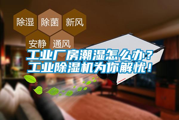 工業(yè)廠房潮濕怎么辦？工業(yè)除濕機(jī)為你解憂！