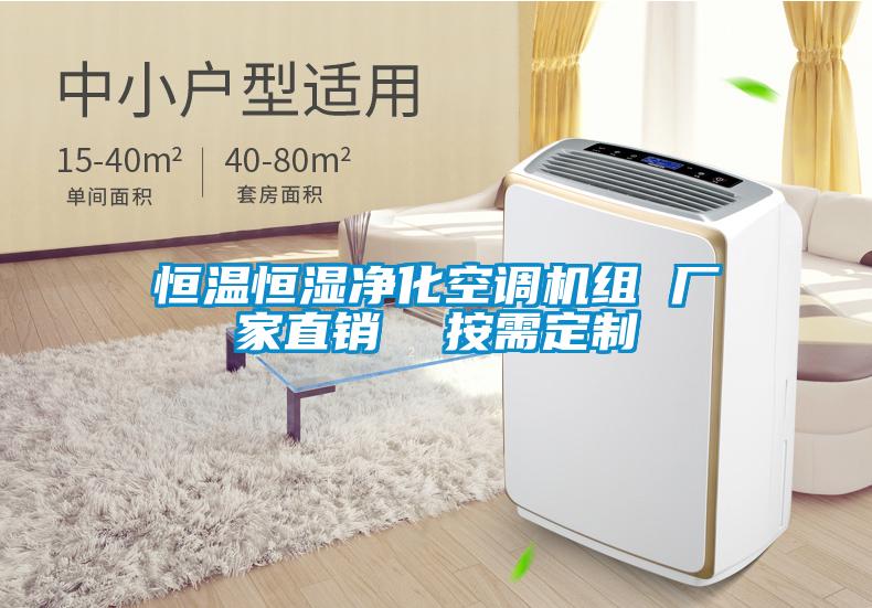 恒溫恒濕凈化空調(diào)機(jī)組 廠家直銷  按需定制