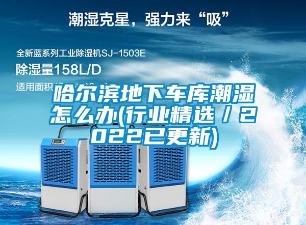 哈爾濱地下車庫潮濕怎么辦(行業(yè)精選／2022已更新)