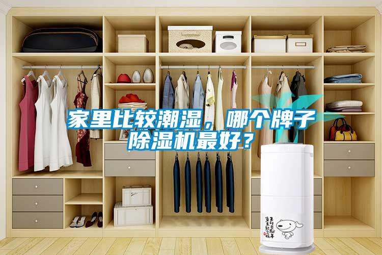 家里比較潮濕，哪個牌子除濕機(jī)最好？