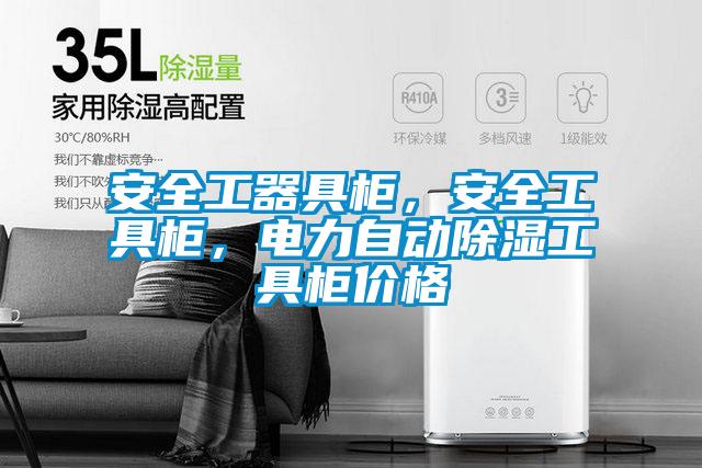 安全工器具柜，安全工具柜，電力自動除濕工具柜價格