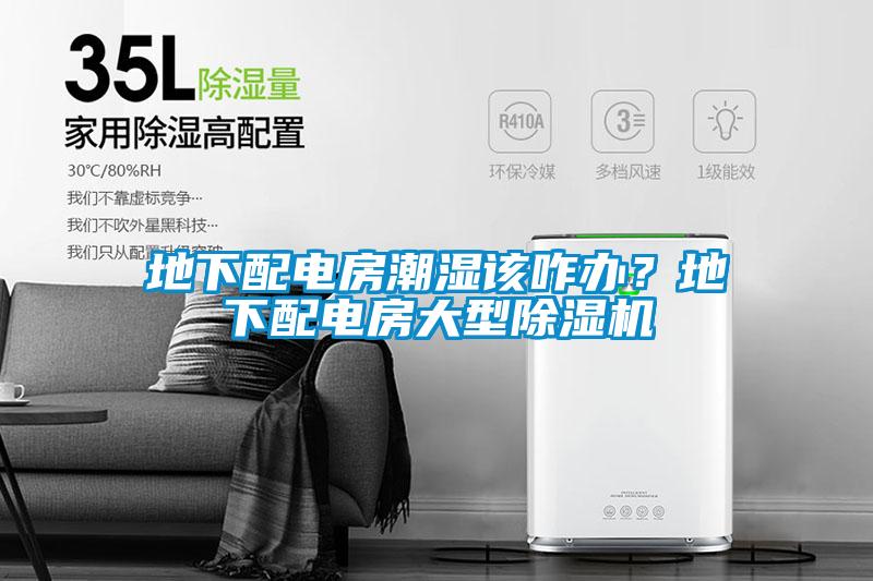 地下配電房潮濕該咋辦？地下配電房大型除濕機(jī)