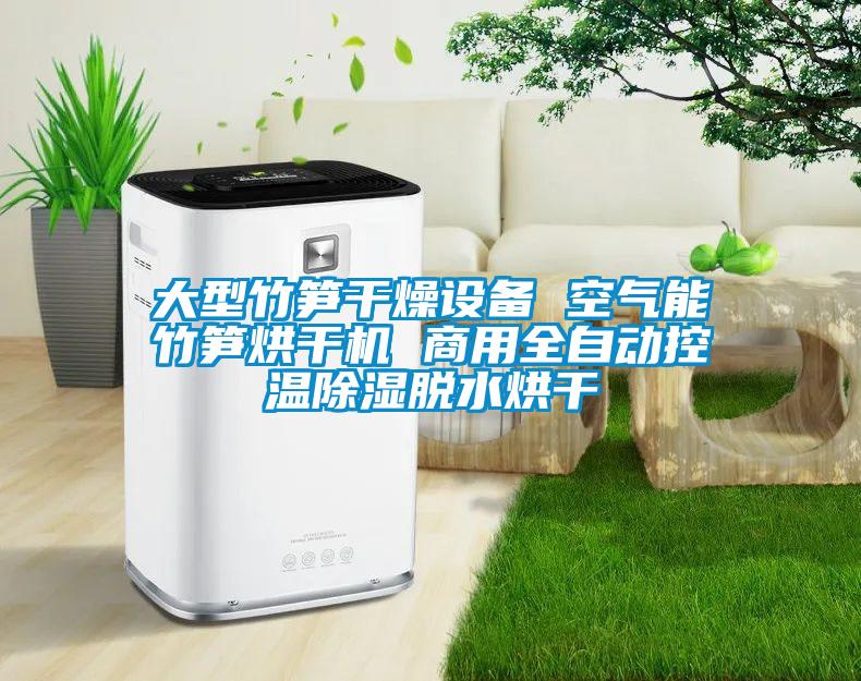 大型竹筍干燥設(shè)備 空氣能竹筍烘干機(jī) 商用全自動(dòng)控溫除濕脫水烘干
