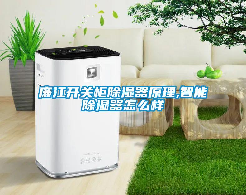 廉江開(kāi)關(guān)柜除濕器原理,智能除濕器怎么樣