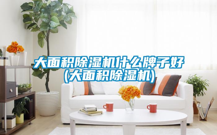 大面積除濕機(jī)什么牌子好(大面積除濕機(jī))