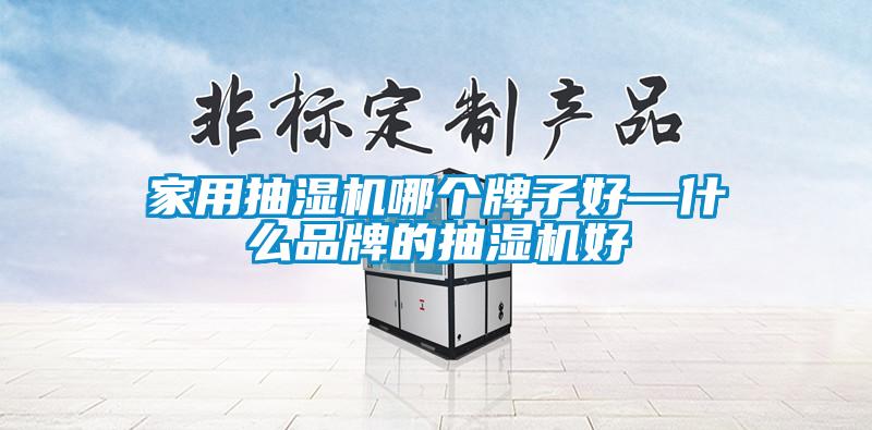 家用抽濕機(jī)哪個(gè)牌子好—什么品牌的抽濕機(jī)好