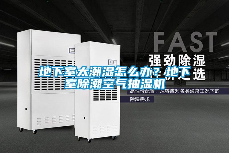 地下室太潮濕怎么辦？地下室除潮空氣抽濕機