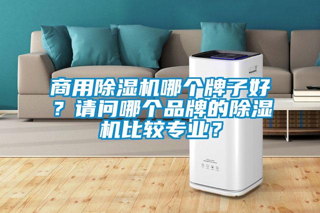 商用除濕機(jī)哪個(gè)牌子好？請(qǐng)問(wèn)哪個(gè)品牌的除濕機(jī)比較專業(yè)？
