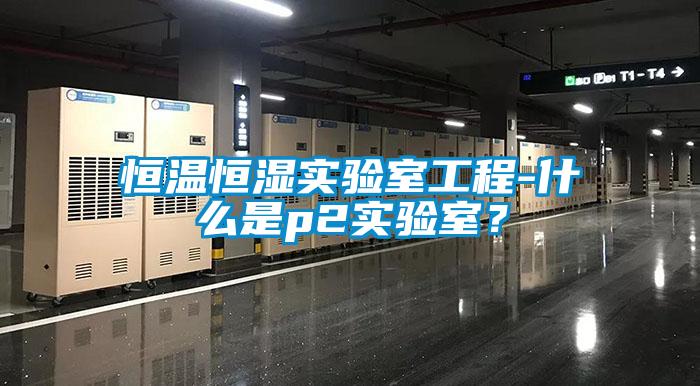 恒溫恒濕實驗室工程-什么是p2實驗室？
