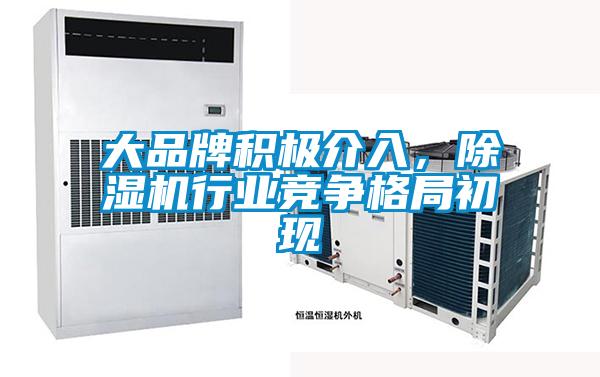 大品牌積極介入，除濕機行業(yè)競爭格局初現(xiàn)