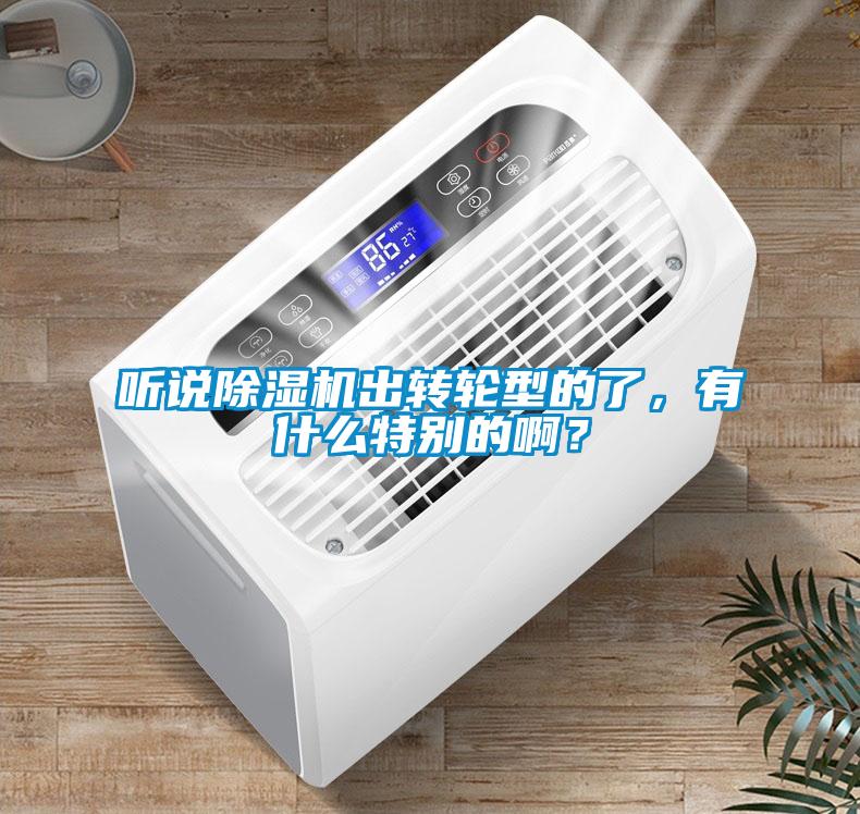 聽說除濕機出轉(zhuǎn)輪型的了，有什么特別的啊？