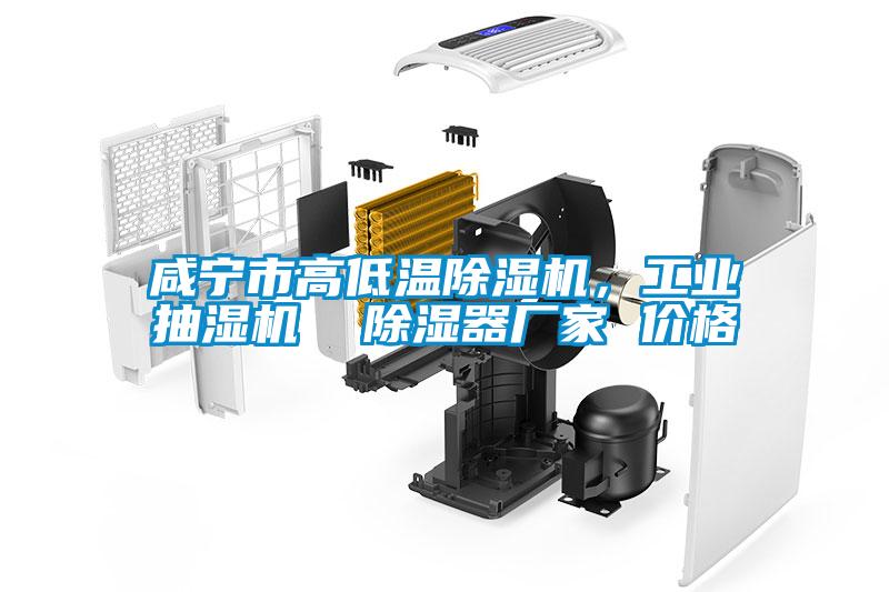 咸寧市高低溫除濕機(jī)，工業(yè)抽濕機(jī)  除濕器廠家 價(jià)格