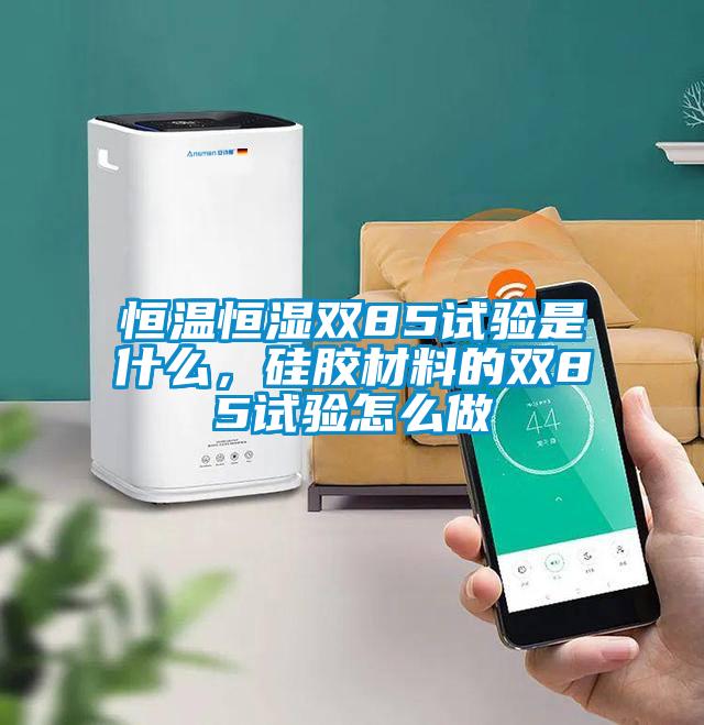 恒溫恒濕雙85試驗是什么，硅膠材料的雙85試驗怎么做