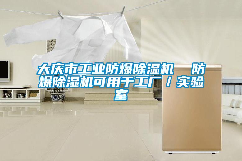 大慶市工業(yè)防爆除濕機(jī)  防爆除濕機(jī)可用于工廠／實(shí)驗(yàn)室