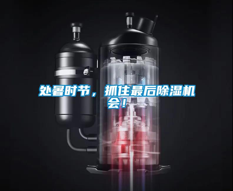處暑時節(jié)，抓住最后除濕機會！