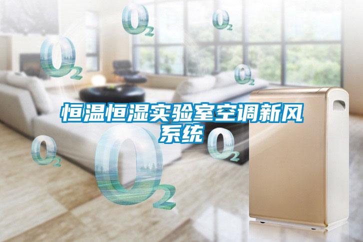 恒溫恒濕實驗室空調(diào)新風(fēng)系統(tǒng)
