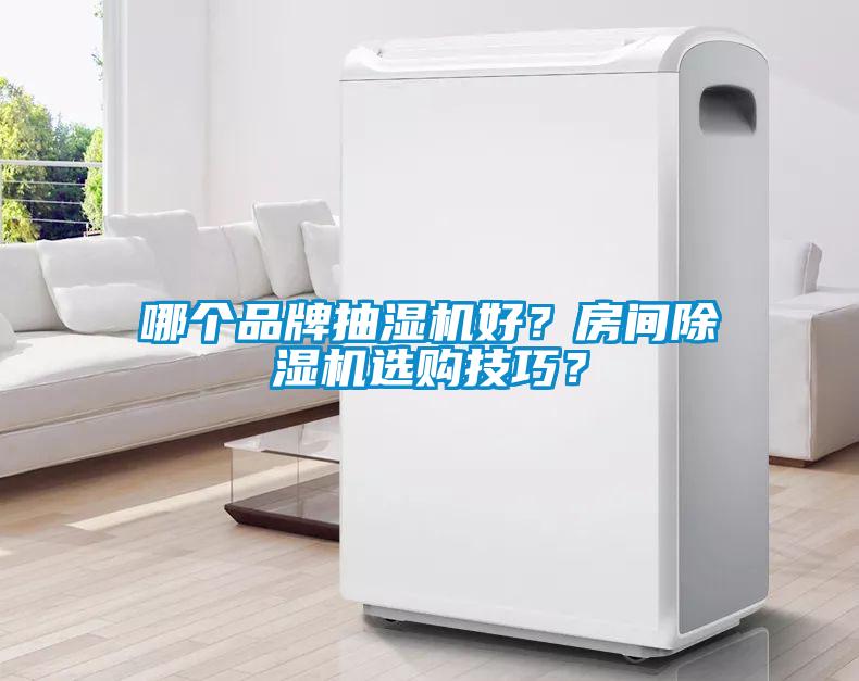 哪個(gè)品牌抽濕機(jī)好？房間除濕機(jī)選購技巧？
