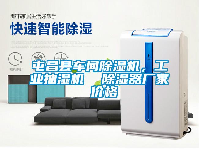 屯昌縣車間除濕機(jī)，工業(yè)抽濕機(jī)  除濕器廠家 價(jià)格