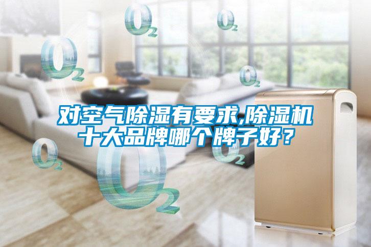 對空氣除濕有要求,除濕機(jī)十大品牌哪個牌子好？