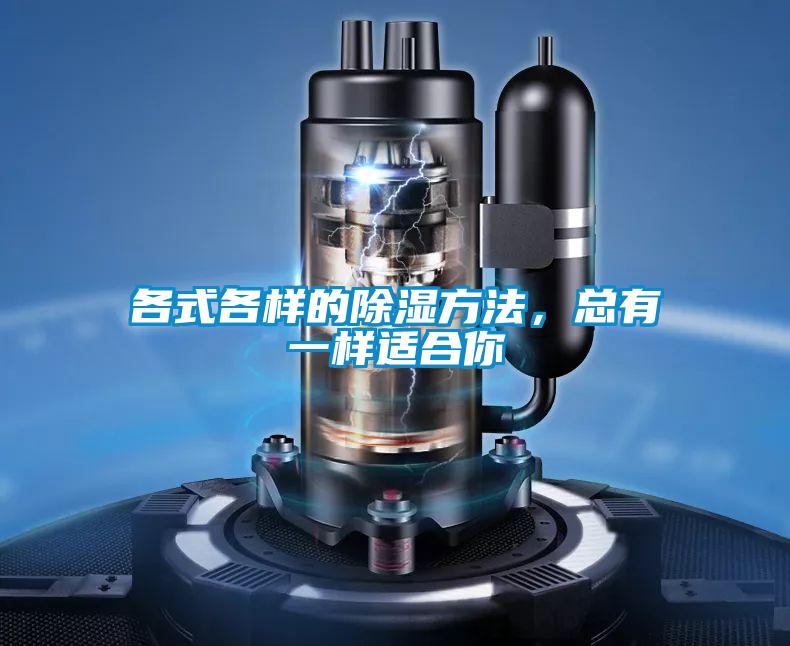 各式各樣的除濕方法，總有一樣適合你