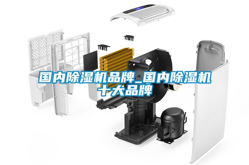 國內(nèi)除濕機品牌_國內(nèi)除濕機十大品牌