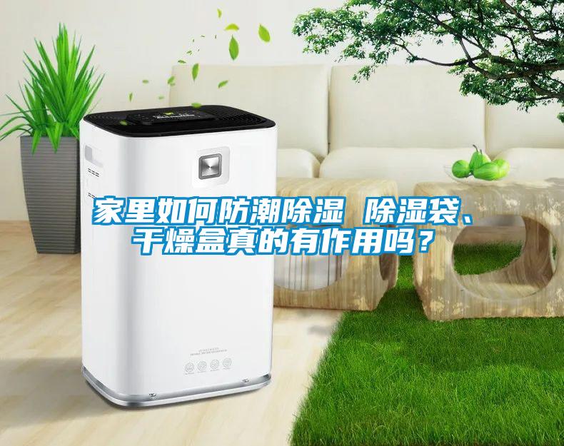 家里如何防潮除濕 除濕袋、干燥盒真的有作用嗎？