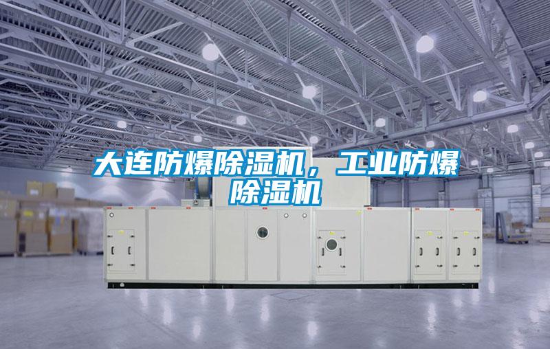 大連防爆除濕機(jī)，工業(yè)防爆除濕機(jī)