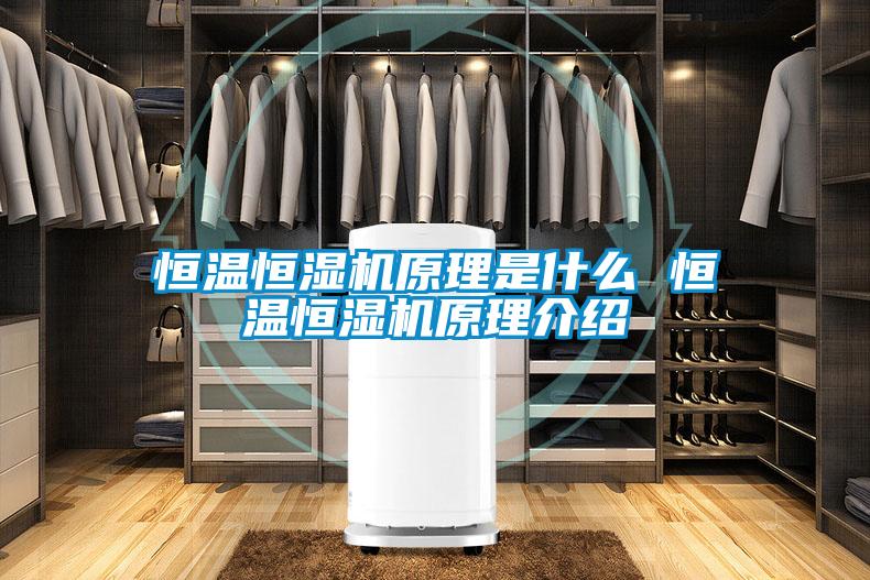 恒溫恒濕機(jī)原理是什么 恒溫恒濕機(jī)原理介紹