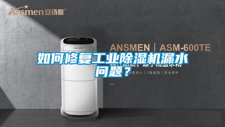 如何修復(fù)工業(yè)除濕機(jī)漏水問題？