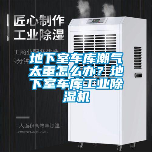 地下室車庫潮氣太重怎么辦？地下室車庫工業(yè)除濕機(jī)
