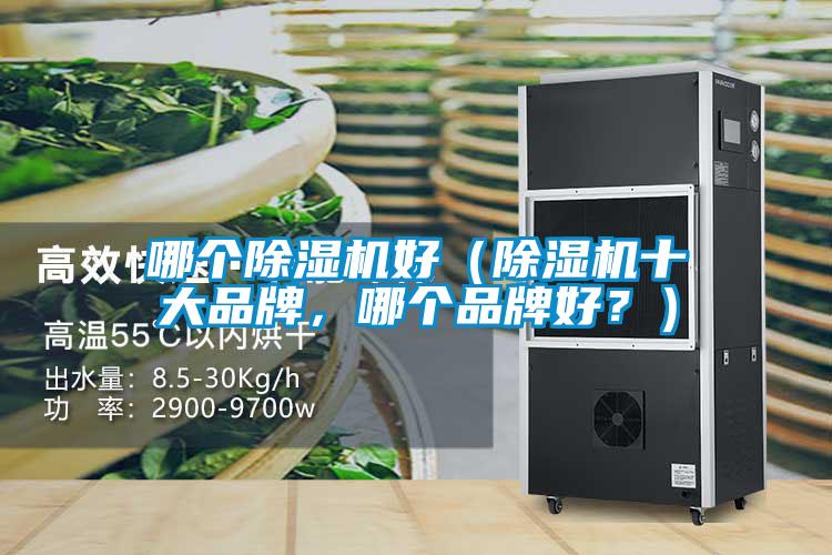 哪個除濕機好（除濕機十大品牌，哪個品牌好？）