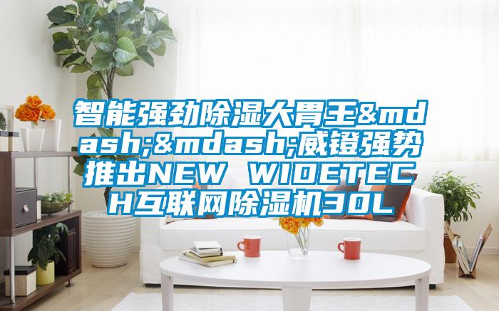 智能強勁除濕大胃王——威鐙強勢推出NEW WIDETECH互聯(lián)網(wǎng)除濕機30L
