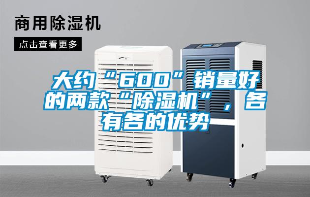 大約“600”銷量好的兩款“除濕機”，各有各的優(yōu)勢