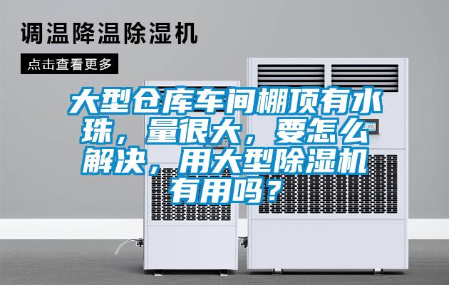 大型倉庫車間棚頂有水珠，量很大，要怎么解決，用大型除濕機有用嗎？