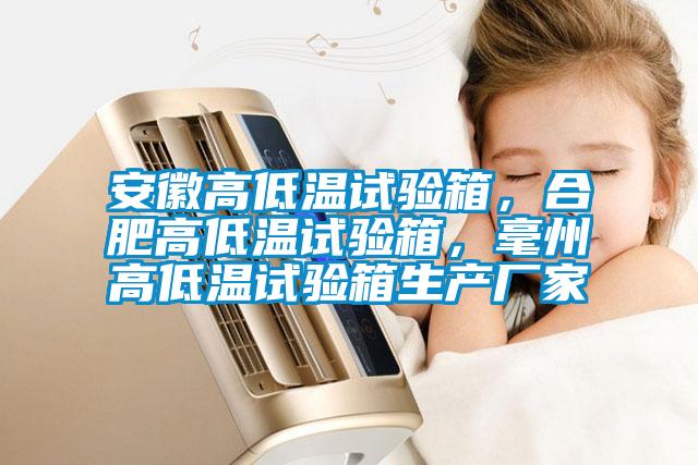 安徽高低溫試驗(yàn)箱，合肥高低溫試驗(yàn)箱，毫州高低溫試驗(yàn)箱生產(chǎn)廠家